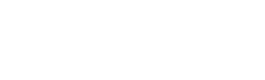 Icarus — Climate Positive Cloud